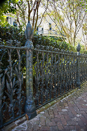 Corn Stalk Fence