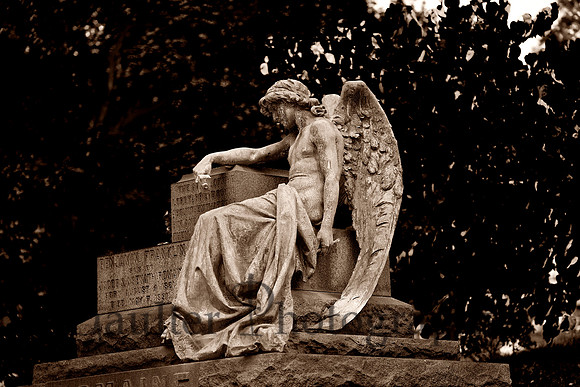 Angel of the Lord