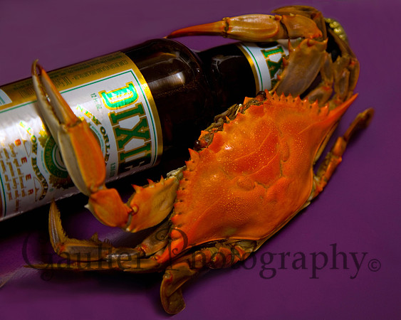 A crab hugging a Dixie Beer