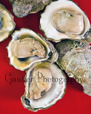 Raw oysters opened on a red background