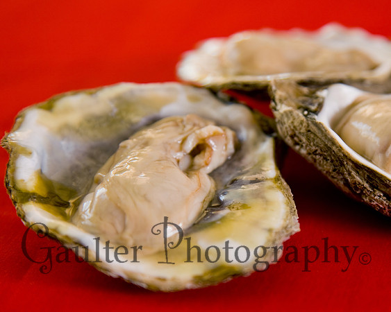 Close up of an oyster ready to be eatened