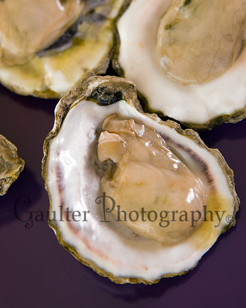 3 oysters opened on purple background ready to be eatened
