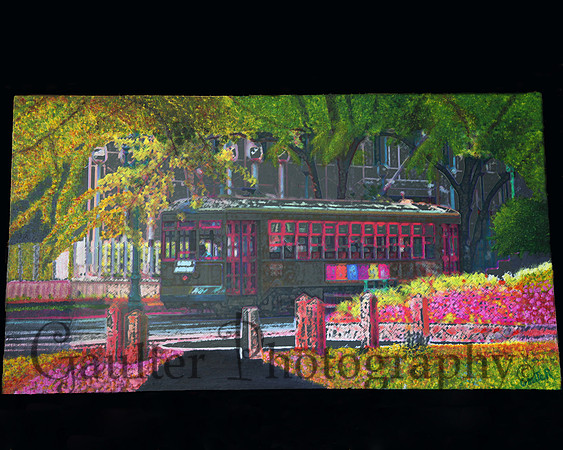 New Orleans Street car 30x50