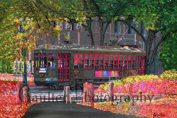 New Orleans Street Car 19x29