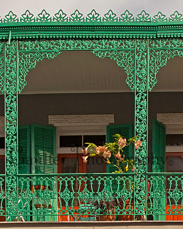 Green Ivy Lace