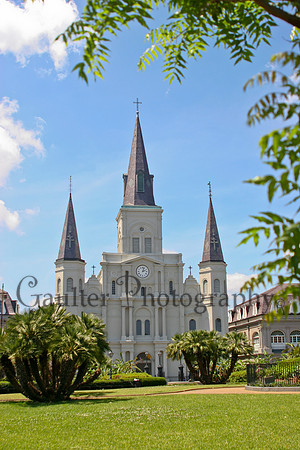 St Louis Cathedral #3